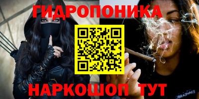 Альфа ПВП Камышлов