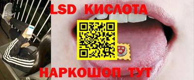 Альфа ПВП Камышлов