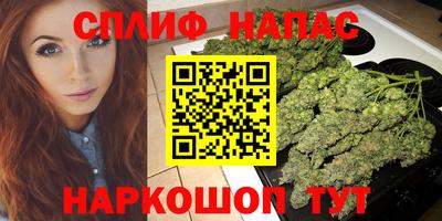 дживик Кандалакша
