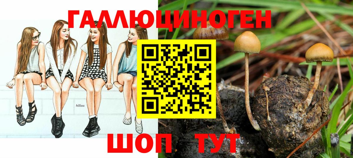 Галлюциногенные грибы MAGIC MUSHROOMS  Псилоцибиновые грибы мицелий  Вход с VPN  Орехово-Зуево 